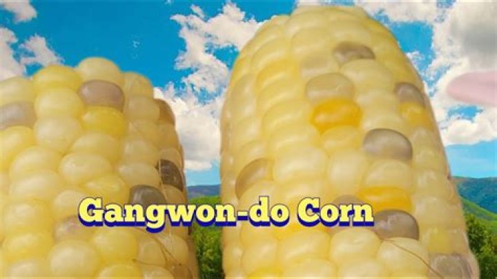 Jong-Woo's family owns Gangwon-do cafe Super Sweet Corn Coffee