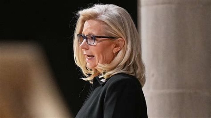 Liz Cheney's Children: Uncovering Their World